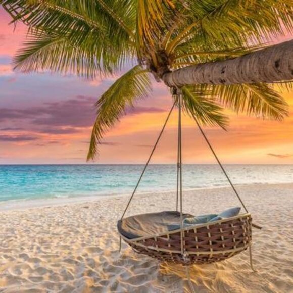 Meet your Posher, Taylor - Picture 1 of 1